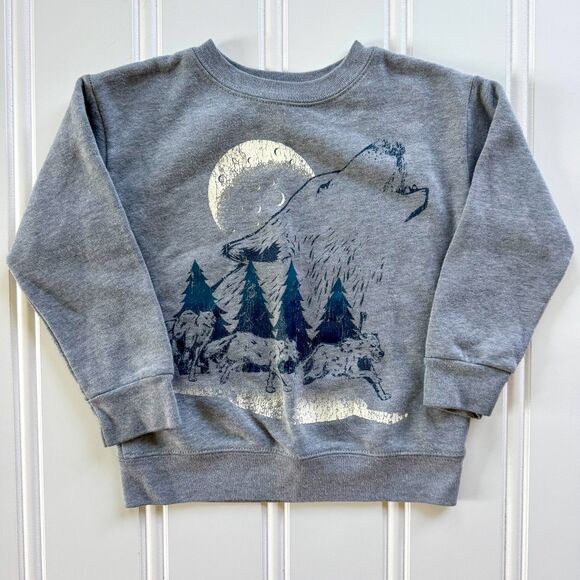 Garanimals Other - 4/$10 - Garanimals Toddler Boys Wilderness Sweatshirt